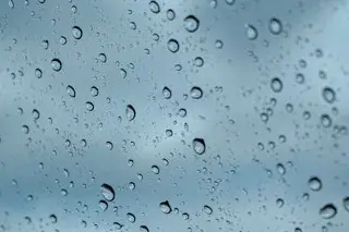 Lluvias derriban árboles en Xalapa; activan brigadas municipales