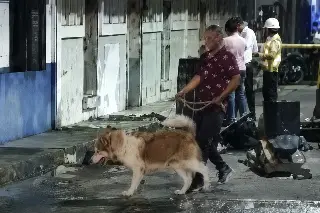 Incendio consume consultorio. Vecinos evitan tragedia y rescatan a perro 