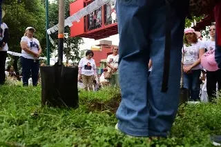 CIDH: 12 buscadoras de desaparecidos tienen protección en Veracruz