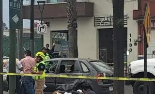 Choque en derriba palmera en Orizaba, Veracruz