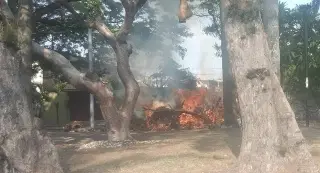 Aparatoso incendio en camellón de Díaz Mirón, en Veracruz