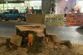 Relizan memorial en Díaz Mirón por ceiba derribada, piden no más podas de árboles 