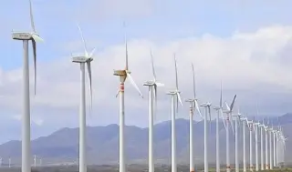 ¿Qué ha pasado con el 'Plan México' en los estados? Esto dice el IMCO 