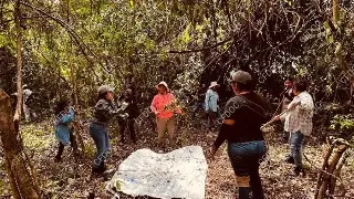 Tres semanas de búsqueda: familias desafían lodo y miedo en Veracruz