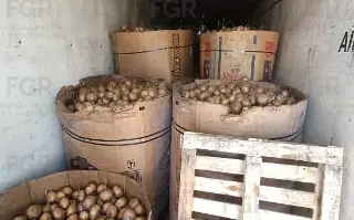 Entre contenedores con jícamas, hallan casi una tonelada de metanfetamina en Durango