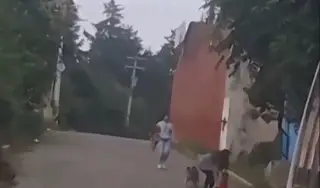 Gateaba completamente solo y a media calle (+Video) 