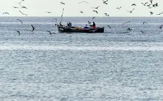 Pescadores reportan restos de petróleo en playas de Vega de Alatorre, Veracruz; esto se sabe