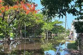 Desborda la laguna Lagartos y esto provocó 