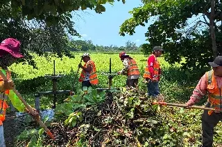 ¿Por qué desbordó la Laguna Lagartos? Esto encontraron 