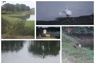 Desde lagunas a microplásticos: el foro gratis que enseña a cuidar el medio ambiente en Veracruz