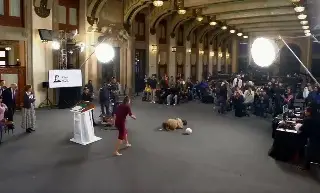 Por un balón, reportera se cae frente a Sheinbaum durante la conferencia Mañanera (VIDEO)