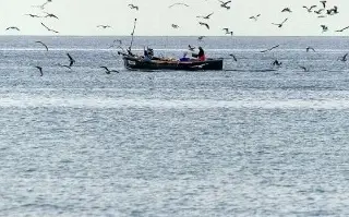 ¿Hay manchas de petróleo en playa de Vega de Alatorre, Veracruz? Esto dice Secretario de Turismo