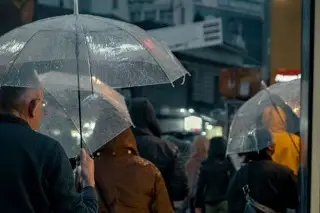 Estos serían los acumulados por lluvias para los próximos días en Veracruz - Boca del Río