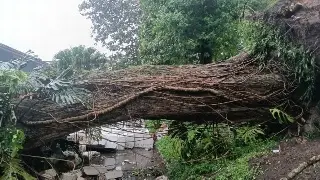 Lluvias dejan 84 viviendas dañadas en 13 municipios de Veracruz
