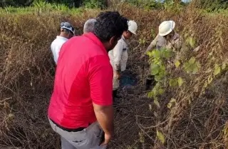 Detectan derrame de petróleo al sur de Veracruz 