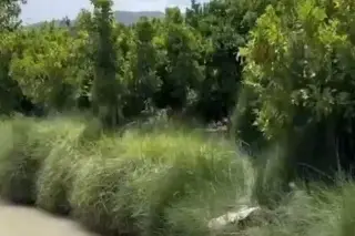 Les ataron ladrillos a sus cuerpos y los lanzaron a un canal (+Video)