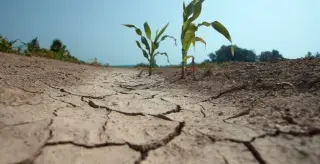 Alertan sobre el avance silencioso de la degradación del suelo en Veracruz