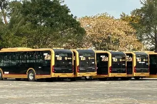 ¿Cuáles son todas las rutas nocturnas y diurnas de los camiones Ulúa de Veracruz?