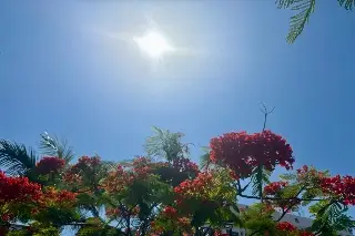 Jueves caluroso en Veracruz, sensación térmica de hasta 45 grados Celsius 