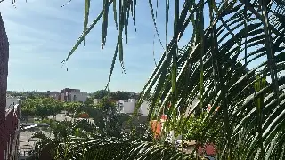 Misterio en la zona conurbada: ¿A qué huele en Veracruz, Boca del Río y Medellín?