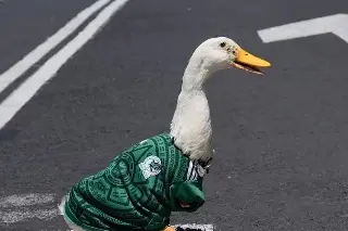nacional