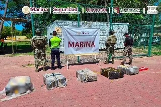 Aseguran paquetes con 270 kilos de cocaína en contenedor