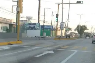 Borregos invaden avenida JB Lobo de Veracruz y alarman a conductores