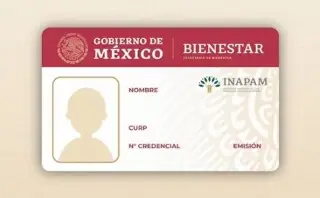 ¿Cuándo reinicia el trámite de tarjetas de INAPAM en Veracruz?