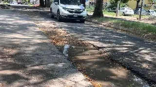 Reportan pésimo estado de las calles en el floresta
