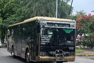 ¿Dejaron de dar servicio los camiones Ulúa en la ruta Dorado?