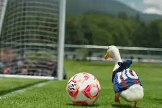 ¿Atlante FC dio bienvenida oficial al Pato Merlín?