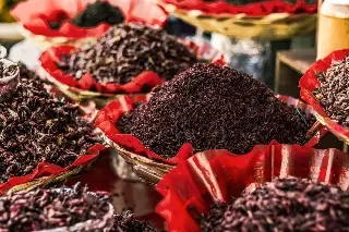 ¿Has comido chicatanas? Esto es lo que casi nadie sabe del peculiar 'manjar' 