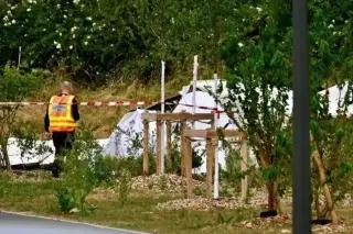 Mueren 11 personas tras estrellarse una avioneta en el este de Francia