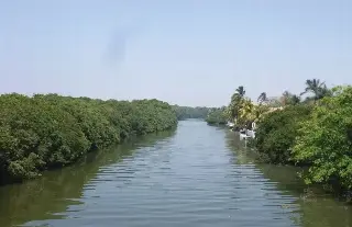 Acusan a CFE de presuntamente derramar químicos en ríos de Boca del Río