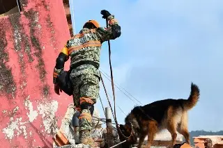 México envía plantas eléctricas de emergencia y prepara barco con ayuda para Venezuela