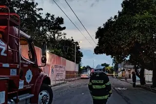Buscan a familiares de persona atacada por abejas en Veracruz  