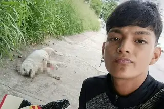 Entre tristeza y solidaridad: la labor de un joven con perritos muertos conmueve en Veracruz