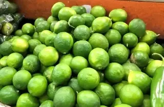 De Veracruz para el mundo: Productores exportan 21,4 toneladas de limón persa a Rusia