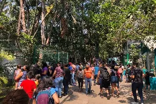 Invitan al 'Verano Ambiental' este mes en el zoológico Miguel Ángel de Quevedo