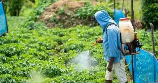 Estas son las multas por uso indebido de agroquímicos en Veracruz 