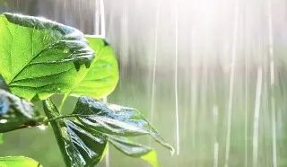 ¿Menos huracanes este año? El Niño cambia el pronóstico para el Atlántico