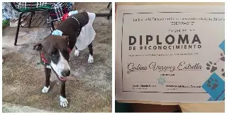 Destacadas
