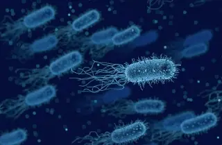 Tecnociencia