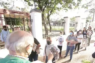 Expo Adopta 2026 en Veracruz: encuentra a tu mascota este día y a esta hora
