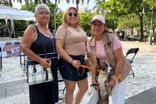 Milanesa no esperó a ser adoptada: ella eligió a la familia con la que quería vivir 