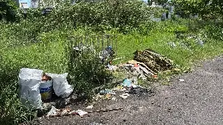 Canal invadido por maleza y basura preocupa a vecinos de Veracruz