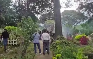 Abejas atacan a 30 personas en panteón en Rafael Delgado, Veracruz; así ocurrió 