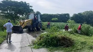 Esperan retirar 10 toneladas de litio en estas lagunas del puerto de Veracruz 