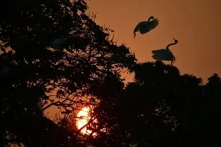 Reportan 4 muertes por calor en Veracruz en el 2026
