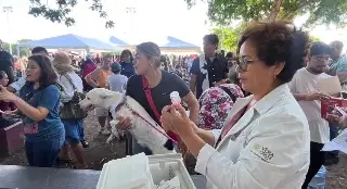 Vacunas, adopciones y carrera canina: así se vive la Feria de la Salud Animal en Veracruz